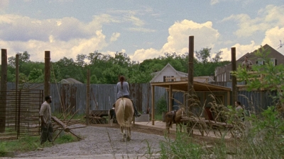 twd0901-0006.jpg