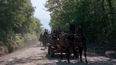 twd0901-1194.jpg