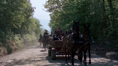 twd0901-1195.jpg