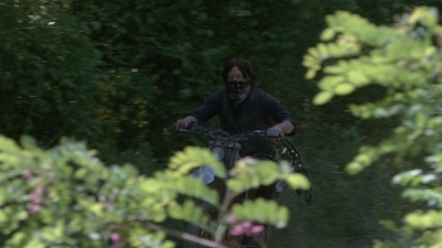 twd0901-1291.jpg