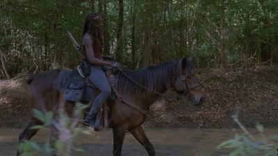 twd0901-1360.jpg
