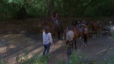 twd0901-1380.jpg