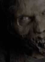 twd0901-0325.jpg