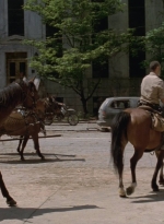 twd0901-1117.jpg