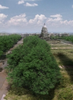 twd0901-1139.jpg