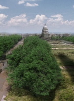 twd0901-1140.jpg