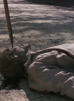 twd0901-1172.jpg