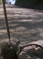 twd0901-1175.jpg