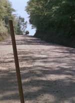 twd0901-1176.jpg