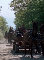 twd0901-1194.jpg