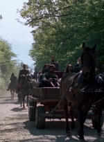 twd0901-1195.jpg