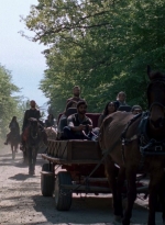 twd0901-1196.jpg
