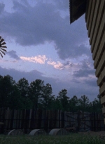 twd0901-1595.jpg