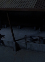 twd0901-2596.jpg