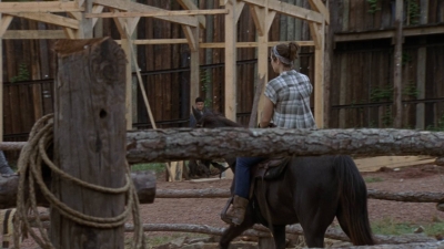 twd0902-0326.jpg