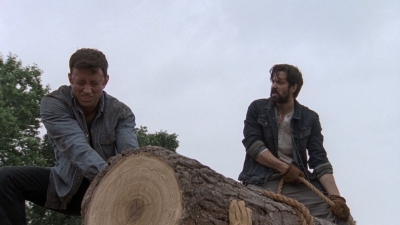 twd0902-1506.jpg