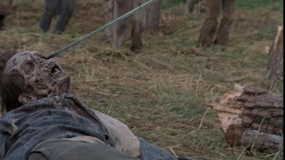 twd0902-1564.jpg