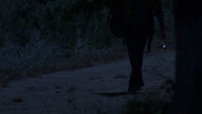 twd0902-2536.jpg