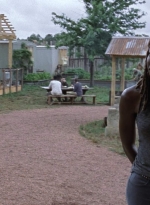 twd0902-0733.jpg