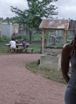 twd0902-0734.jpg