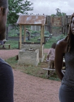 twd0902-0736.jpg