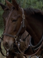 twd0902-1484.jpg