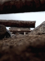 twd0902-1593.jpg