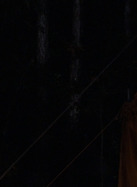 twd0902-2237.jpg
