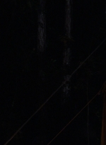 twd0902-2238.jpg