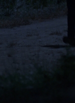 twd0902-2535.jpg
