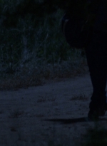 twd0902-2536.jpg