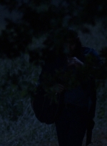twd0902-2540.jpg