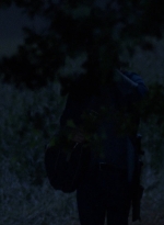 twd0902-2541.jpg