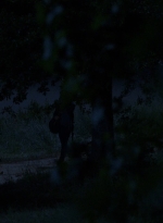 twd0902-2542.jpg