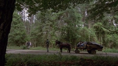 Click to view full size image
==============
twd0903-0602.jpg twd0903-0602.jpg