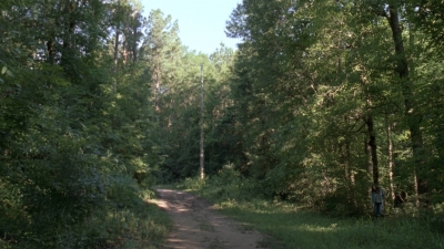 twd0903-1281.jpg