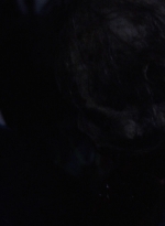 twd0903-0022.jpg