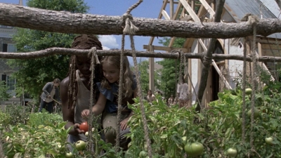 twd0904-0080.jpg
