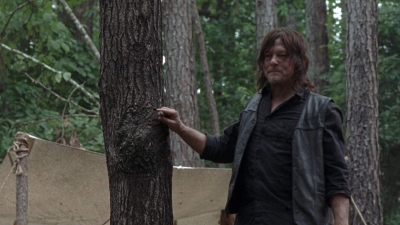 twd0904-0671.jpg