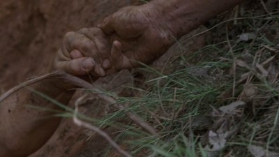 twd0904-2048.jpg