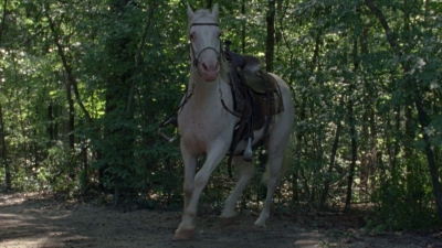 twd0904-2072.jpg
