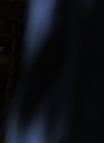 twd0904-1229.jpg