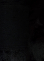 twd0904-1234.jpg
