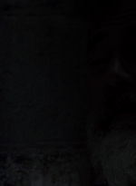 twd0904-1235.jpg