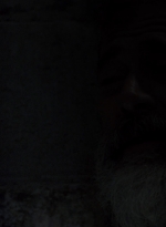 twd0904-1237.jpg