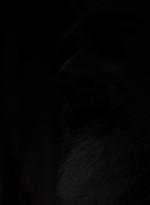 twd0904-1362.jpg