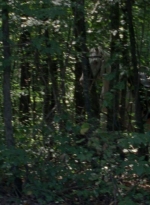 twd0904-2070.jpg