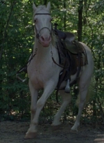 twd0904-2072.jpg