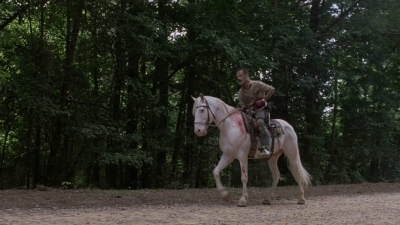twd905_0212.jpg