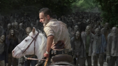 twd905_0241.jpg